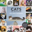 Image for 2019 Wall Calendar: Cats on Instagram