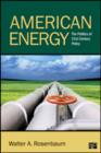 Image for American energy  : the politics of 21st century policy