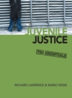 Image for Juvenile Justice: the Essentials