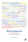 Image for Peer Groups: Expanding Our Study of Small Group Communication