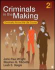 Image for Criminals in the making  : criminality across the life course
