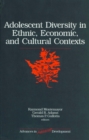 Image for Adolescent Diversity in Ethnic, Economic, and Cultural Contexts