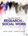 Image for The Practice of Research in Social Work