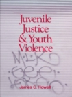 Image for Juvenile justice &amp; youth violence