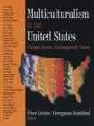 Image for Multiculturalism in the United States: current issues, contemporary voices