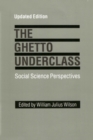 Image for The Ghetto underclass: social science perspectives