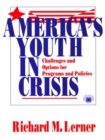 Image for America&#39;s youth in crisis: challenges and options for programs and policies
