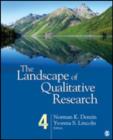 Image for The Landscape of Qualitative Research