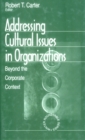Image for Addressing Cultural Issues in Organizations: Beyond the Corporate Context