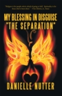 Image for My Blessing in Disguise  &amp;quote;the Separation&amp;quote