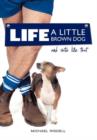Image for Life, a Little Brown Dog and Shite Like That