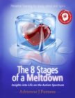 Image for 8 Stages of a Meltdown: Insights into Life on the Autism Spectrum