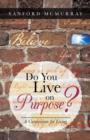 Image for Do You Live on Purpose? : A Curriculum for Living