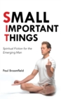 Image for Small Important Things: Spiritual Fiction for the Emerging Man