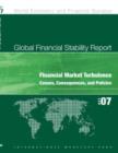Image for Global financial stability report: financial market turbulence : causes, consequences, and policies : October 2007.