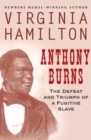 Image for Anthony Burns: the defeat and triumph of a fugitive slave