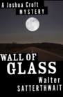 Image for Wall of glass