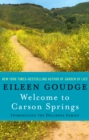 Image for Welcome to Carson Springs: Introducing the Delarosa Family