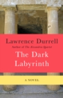 Image for Dark Labyrinth: A Novel