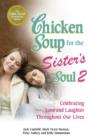 Image for Chicken soup for the sister's soul 2: celebrating love and laughter throughout our lives