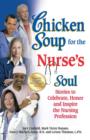 Image for Chicken soup for the nurse&#39;s soul: 101 stories to celebrate, honor, and inspire the nursing profession