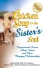 Image for Chicken soup for the sister&#39;s soul
