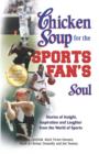 Image for Chicken soup for the sports fan&#39;s soul: 101 stories of insight, inspiration and laughter from the world of sports