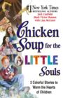 Image for Chicken soup for the little souls: 3 colorful stories to warm the hearts of children