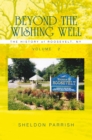 Image for Beyond the Wishing Well: The History of Roosevelt, Ny