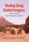 Image for Healing Using Guided Imagery : The Force and Vivacity Effect