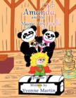 Image for Amanda and the Magic Toy Panda