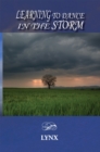 Image for Learning to Dance in the Storm.