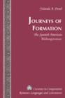 Image for Journeys of formation: the Spanish American Bildungsroman