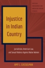 Image for Injustice in Indian country: jurisdiction, American law, and sexual violence against native women
