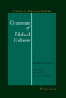 Image for Grammar of biblical Hebrew