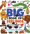 Image for Big Book of Feelings