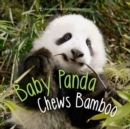 Image for Baby panda chews bamboo