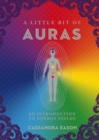 Image for A Little Bit of Auras: An Introduction to Energy Fields