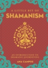 Image for A little bit of shamanism  : an introduction to shamanic journeying
