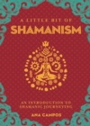 Image for A Little Bit of Shamanism: An Introduction to Shamanic Journeying