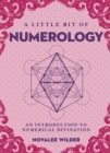 Image for A Little Bit of Numerology: An Introduction to Numerical Divination