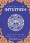 Image for Little Bit of Intuition, A