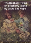Image for Bobbsey Twins on Blueberry Island