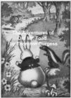 Image for Adventures of Old Mr. Toad, Illustrated