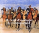 Image for Spirit of Sweetwater