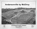 Image for Andersonville