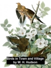 Image for Birds in Town and Village