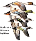 Image for Ducks at a Distance