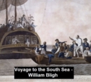 Image for Voyage to the South Sea