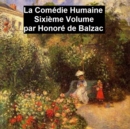 Image for La Comedie Humaine volume 6 - Scene de la vie de province tome II